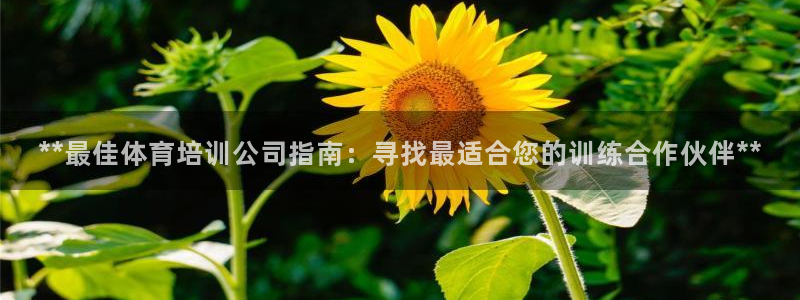 欧陆娱乐平台登陆地址是什么样的：**最佳体育培训公司