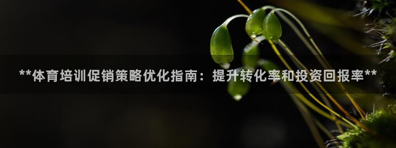 欧陆娱乐官网下载安装最新版苹果：**体育培训促销策略优化指南