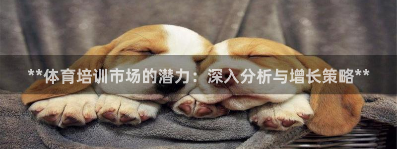 欧陆娱乐客服服务怎么样：**体育培训市场的潜力：深入分析与增