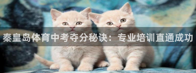 欧陆娱乐安全吗：秦皇岛体育中考夺分秘诀：专业培训直通