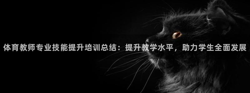 欧陆娱乐官方下载安装：体育教师专业技能提升培训总结：提升教学