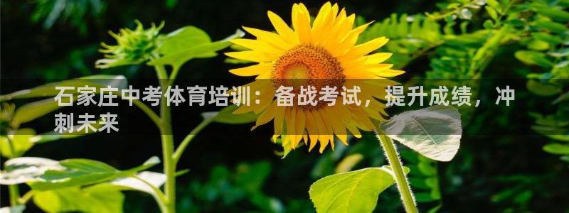 欧陆娱乐太阳：石家庄中考体育培训：备战考试，提升成绩
