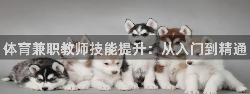 重庆欧陆娱乐有限公司：体育兼职教师技能提升：从入门到