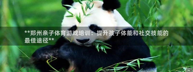 欧陆娱乐官网网址：**郑州亲子体育游戏培训：提升孩子