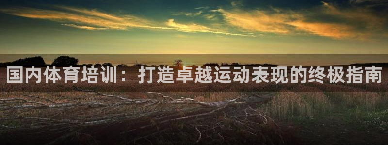 欧陆娱乐平台官网入口：国内体育培训：打造卓越运动表现的终极指