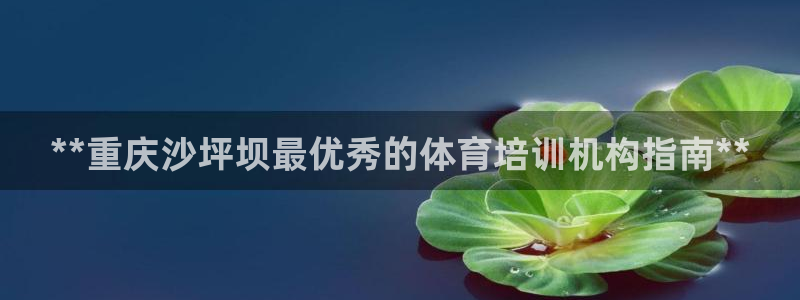 欧陆娱乐登录测速软件：**重庆沙坪坝最优秀的体育培训机构指南