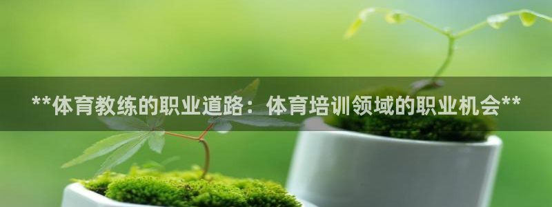 欧陆娱乐登录平台官网：**体育教练的职业道路：体育培训领域的