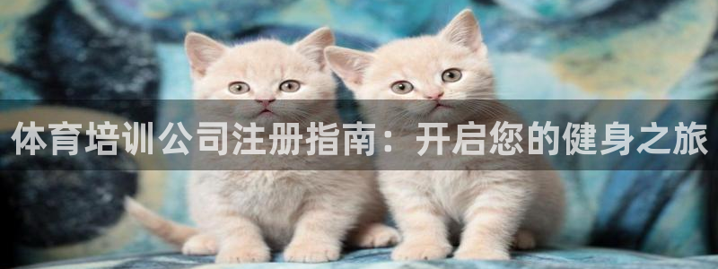 欧陆娱乐登陆平台：体育培训公司注册指南：开启您的健身