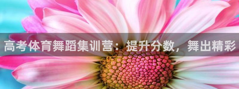 欧陆娱乐能赚钱吗：高考体育舞蹈集训营：提升分数，舞出精彩