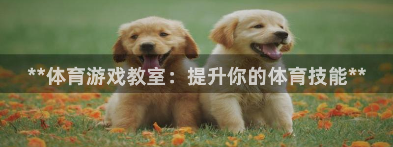 欧陆娱乐总代：**体育游戏教室：提升你的体育技能**