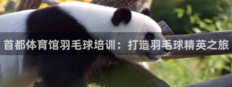 重庆欧陆娱乐有限公司电话：首都体育馆羽毛球培训：打造羽毛球精