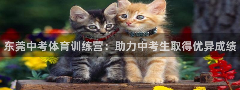 欧陆娱乐官方客服电话：东莞中考体育训练营：助力中考生