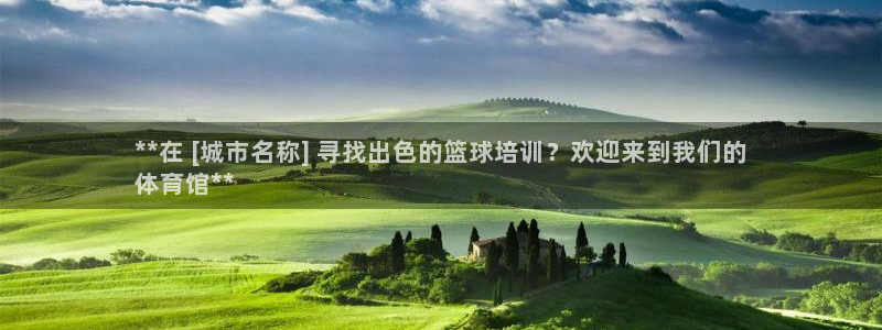 欧陆游戏平台：**在 [城市名称] 寻找出色的篮球培
