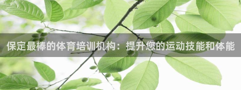 欧陆娱乐官网下载安装手机版：保定最棒的体育培训机构：