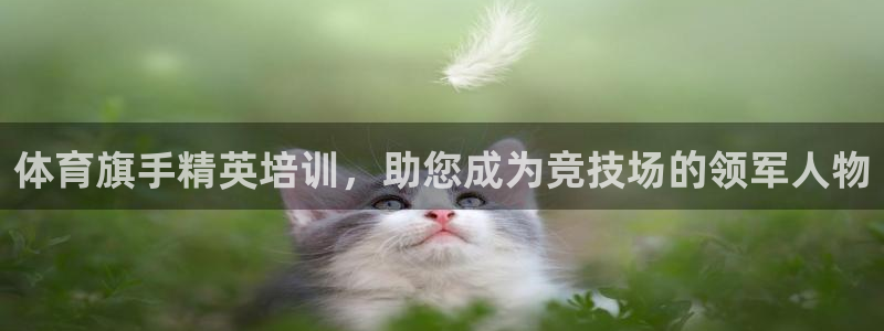 欧陆平台：体育旗手精英培训，助您成为竞技场的领军人物