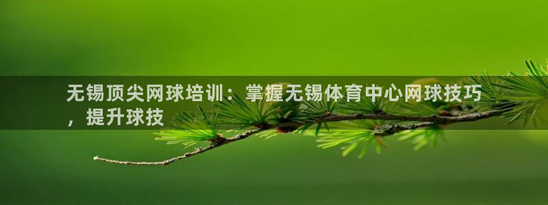 欧陆娱乐怎么注册会员的：无锡顶尖网球培训：掌握无锡体