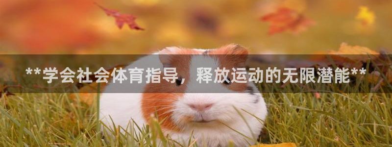 欧陆娱乐平台官网：**学会社会体育指导，释放运动的无