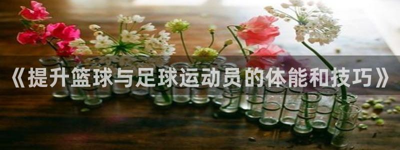 欧陆娱乐登录测速软件