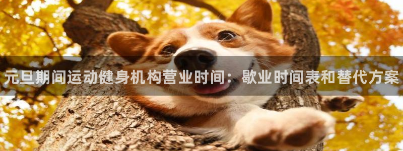 欧陆娱乐脚本怎么下载：元旦期间运动健身机构营业时间：