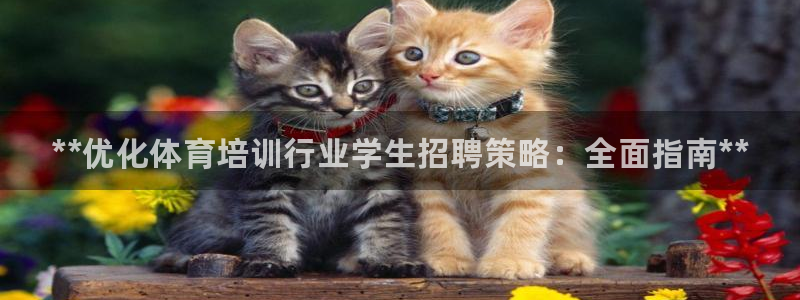 欧陆娱乐挂机项目怎么设置：**优化体育培训行业学生招