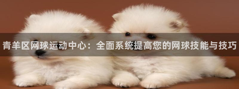 欧陆娱乐客服电话：青羊区网球运动中心：全面系统提高您