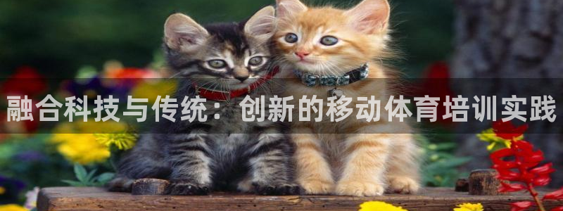 欧陆娱乐是那个旗下的品牌公司：融合科技与传统：创新的