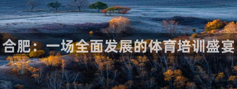 欧陆娱乐平台登录不上：合肥：一场全面发展的体育培训盛