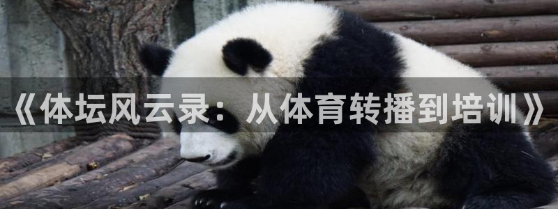 欧陆娱乐app攻略大全：《体坛风云录：从体育转播到培训》