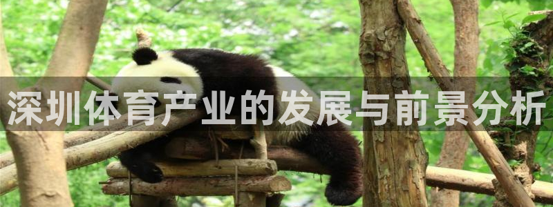 欧陆娱乐官方网站：深圳体育产业的发展与前景分析