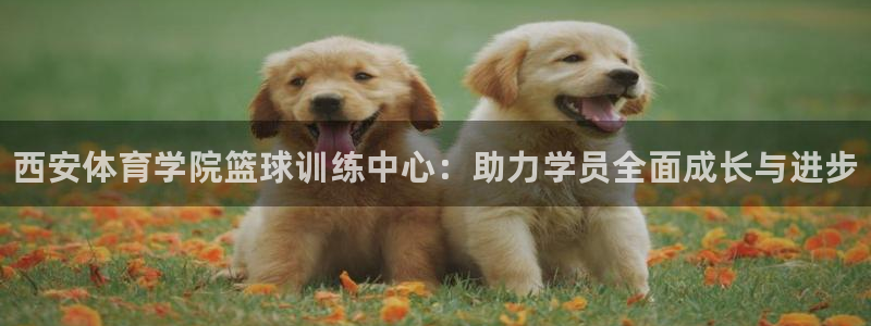 欧陆娱乐游戏特色：西安体育学院篮球训练中心：助力学员全面成长
